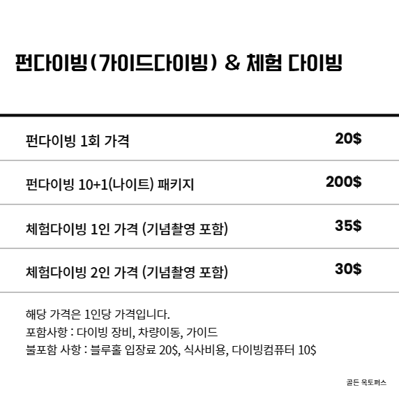 다합 펀다이빙