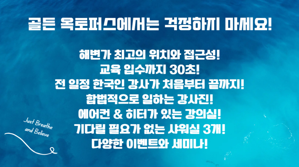 골든옥토퍼스 다합