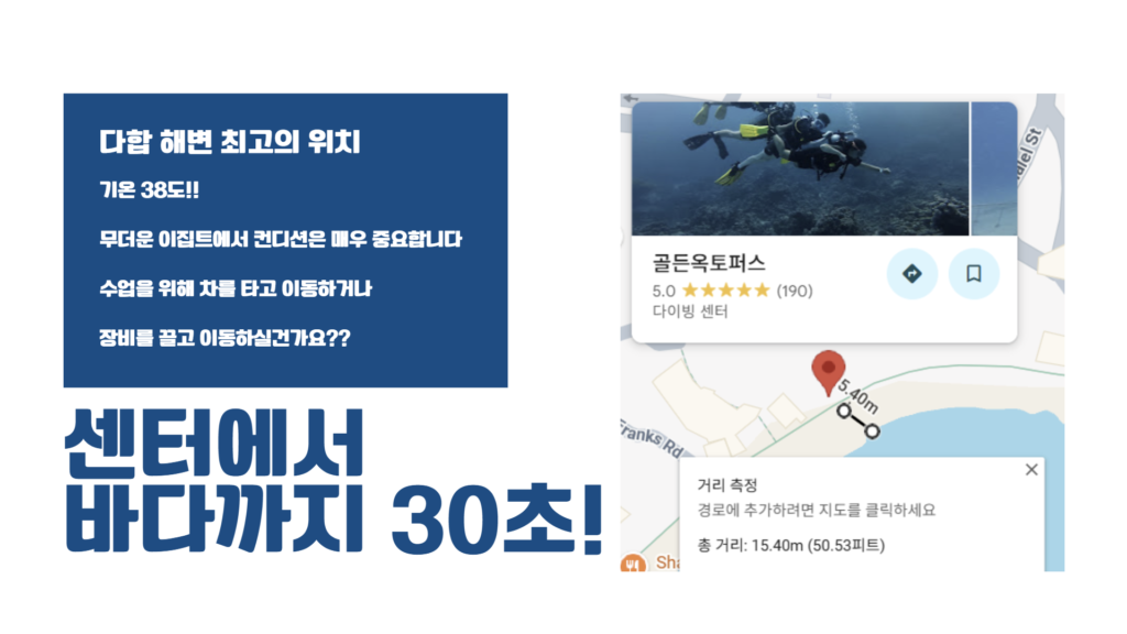 골든옥토퍼스 위치